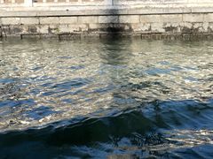 -皇家御河游(紫御湾码头)