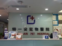 -特一安24小时宠物医院·骨科·中兽医