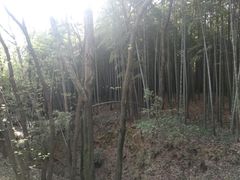 -宝岩生态观光园