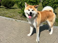 -中粮·祥云小镇