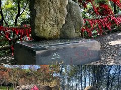 -广州市帽峰山景区