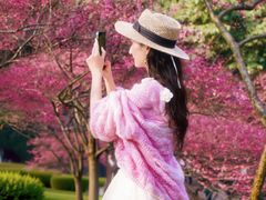 -重庆彩云湖湿地公园