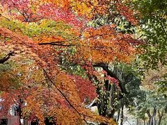 -狼山风景名胜区