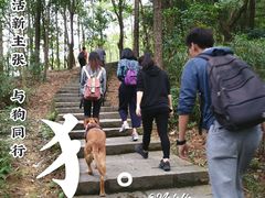 -火炉山森林公园