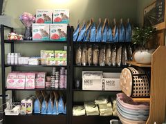 -东方名猫馆·英短金渐层布偶猫舍(环线广场1号楼店)