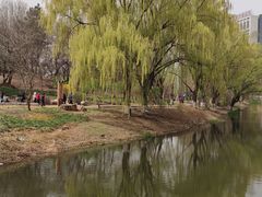 -万泉公园