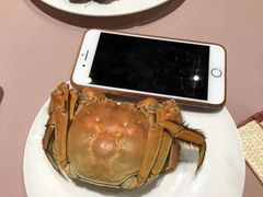 -王宝和酒家(黄浦店)