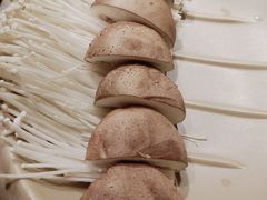 -小龙坎火锅(湖滨银泰in77店)