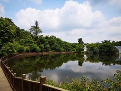 -大屏嶂森林公园