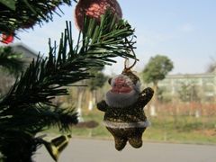 conew_img_7295-天目湖御水温泉·度假酒店