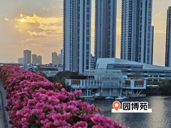 -厦门园林博览苑
