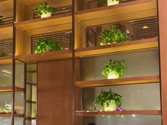 -西贝(华发商都店)