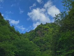 -花溪风景区