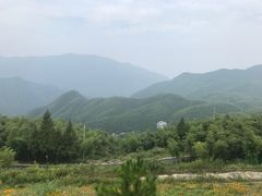 -江南天池