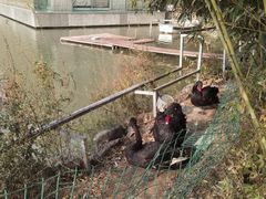 -春晖园度假酒店温泉