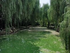 -苏州市银泉山莊大酒店