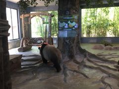 -海南热带野生动植物园