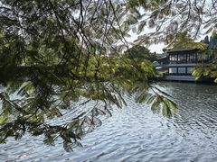-荔湾湖公园