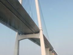 -招商蛇口邮轮母港(观光客运)