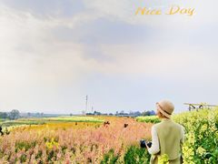 -三圣花乡旅游区