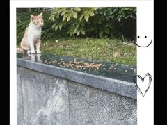 -Wagas沃歌斯(大学路店)