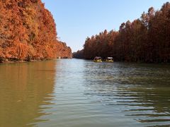 -上海海湾国家森林公园