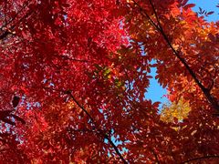 -长春市南湖公园