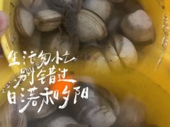 -南汇新城海滩