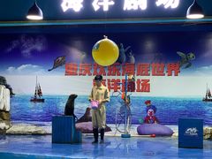-重庆欢乐海底世界