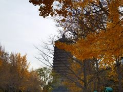 -玲珑塔公园