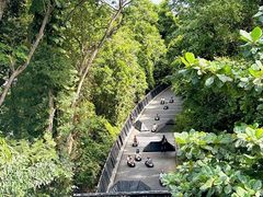 -圣淘沙天际线斜坡滑车