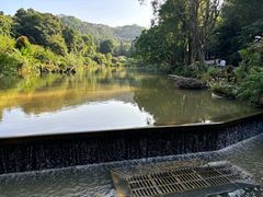 -深圳仙湖植物园