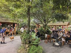 -青城甲(青城山店)