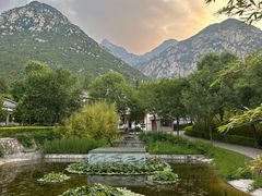 -禅宗少林·音乐大典