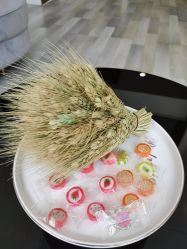 -汐月Health纤体spa中心