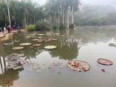 -中国科学院西双版纳热带植物园