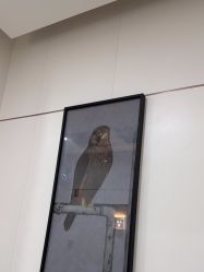 -AIST爱思特医疗美容医院