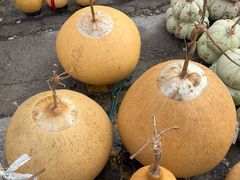 -中环花鸟鱼虫市场