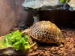 -上海海洋水族馆