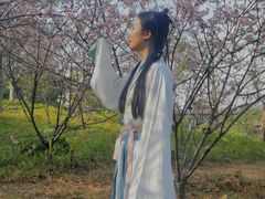 -王借岗森林公园
