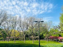 -莲花池公园