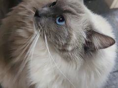 -零纪元VR体验馆·桌游(黄浦店)