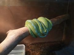 -上海大自然野生昆虫馆