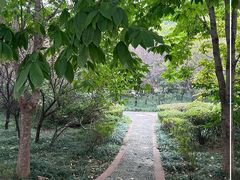 -洛阳市隋唐城遗址植物园