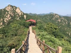 -大岭沟猕猴桃谷风景区