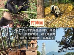 -阿露佳·舌尖上的安吉菜