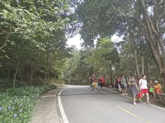 -广州市流溪河国家森林公园