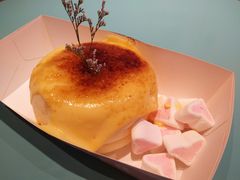 -狐狸和向日葵(北京路店)