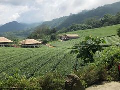 -优游吧斯邹族文化部落