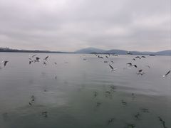 -蠡湖大桥公园